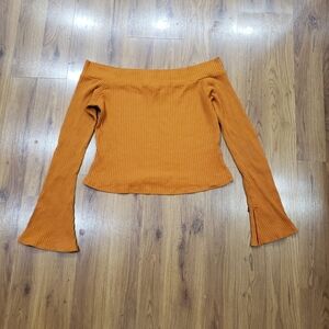 Forever 21 Burnt Orange Ribbed Off-Shoulder Cropped Top!